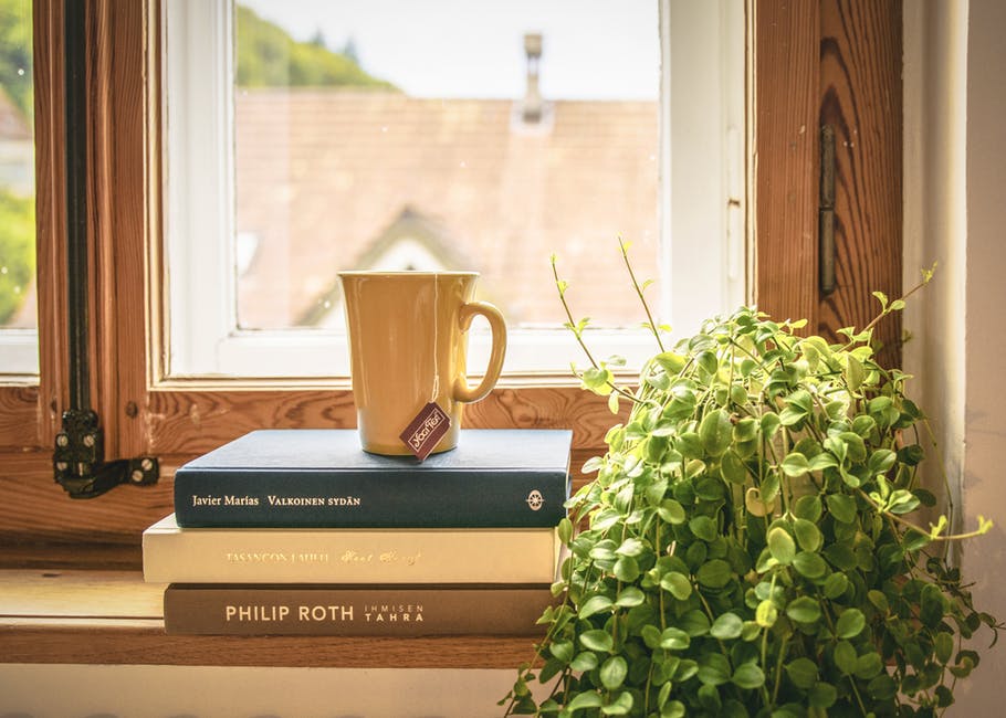 An image showing an indoor house plant next to books and a mug of tea on a windowsill