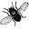 Fly Screen